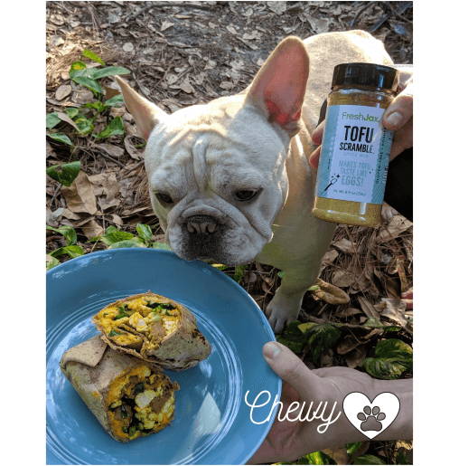 A plate of tofu scramble burritos with a dog and a large bottle of FreshJax Organic Tofu Scramble.