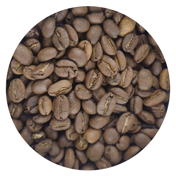 BeanBear Guatemala coffee beans