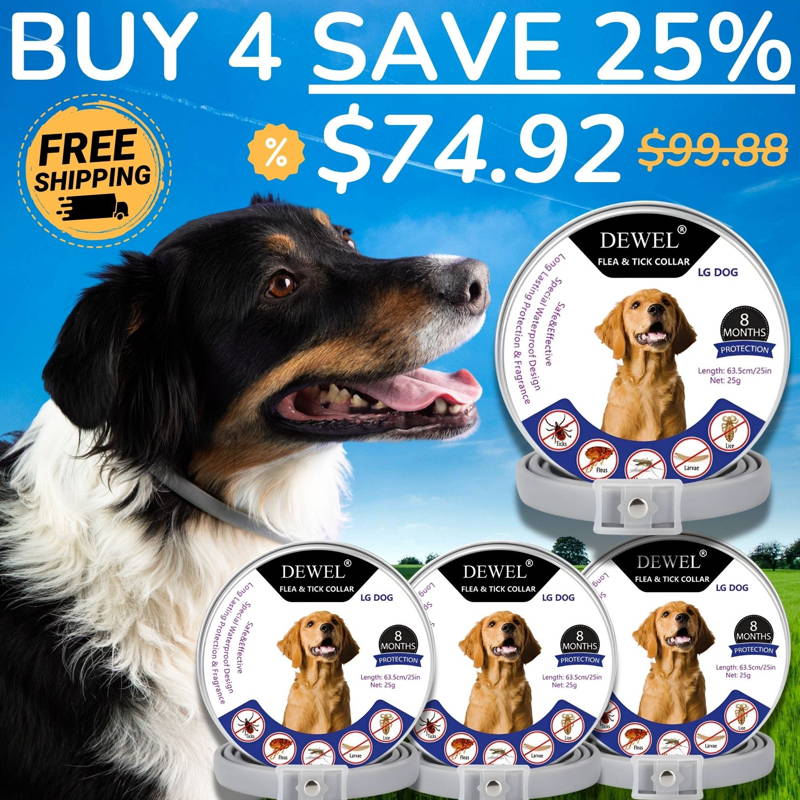 10-Collar Treatment Protocol — (SAVE 25% + FREE Shipping) — DEWELPRO.com