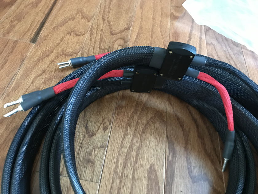 Wireworld Silver Eclipse 6 and Gold Eclipse 6 Speaker cables