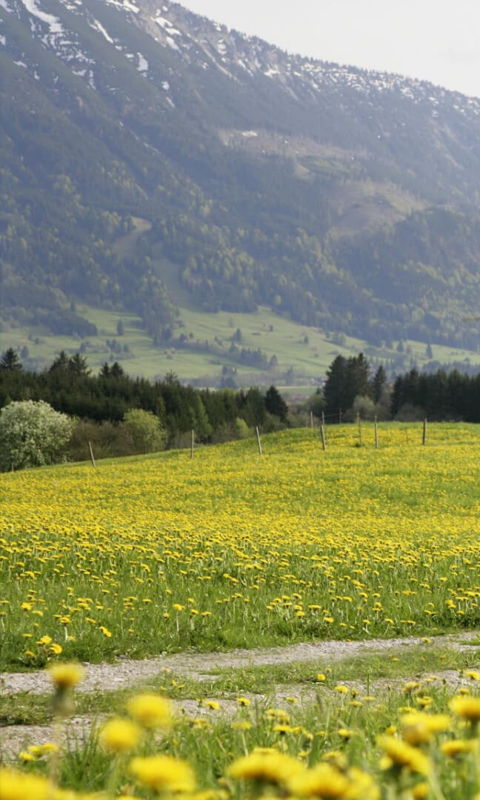 Sommerurlaub im Allgäu mit der Familie