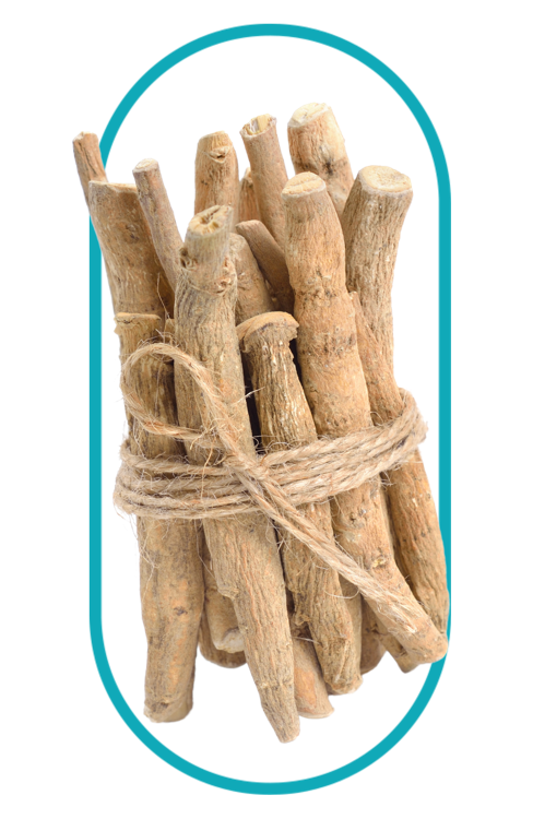 several tongkat ali roots, the key ingredient in the best tongkat ali singapore