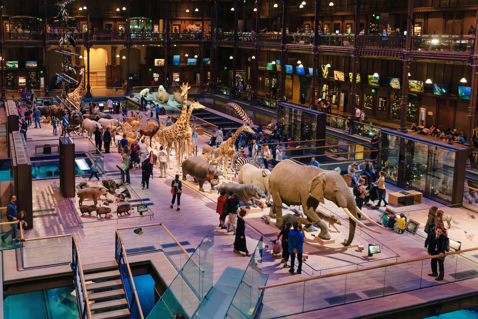French National Museum of Natural History | Aksgar.me
