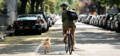 Weed dealer, The Guy, biking down a New York street with his dog