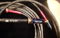 Nordost Tyr 3 meter RCA interconnect cables 6