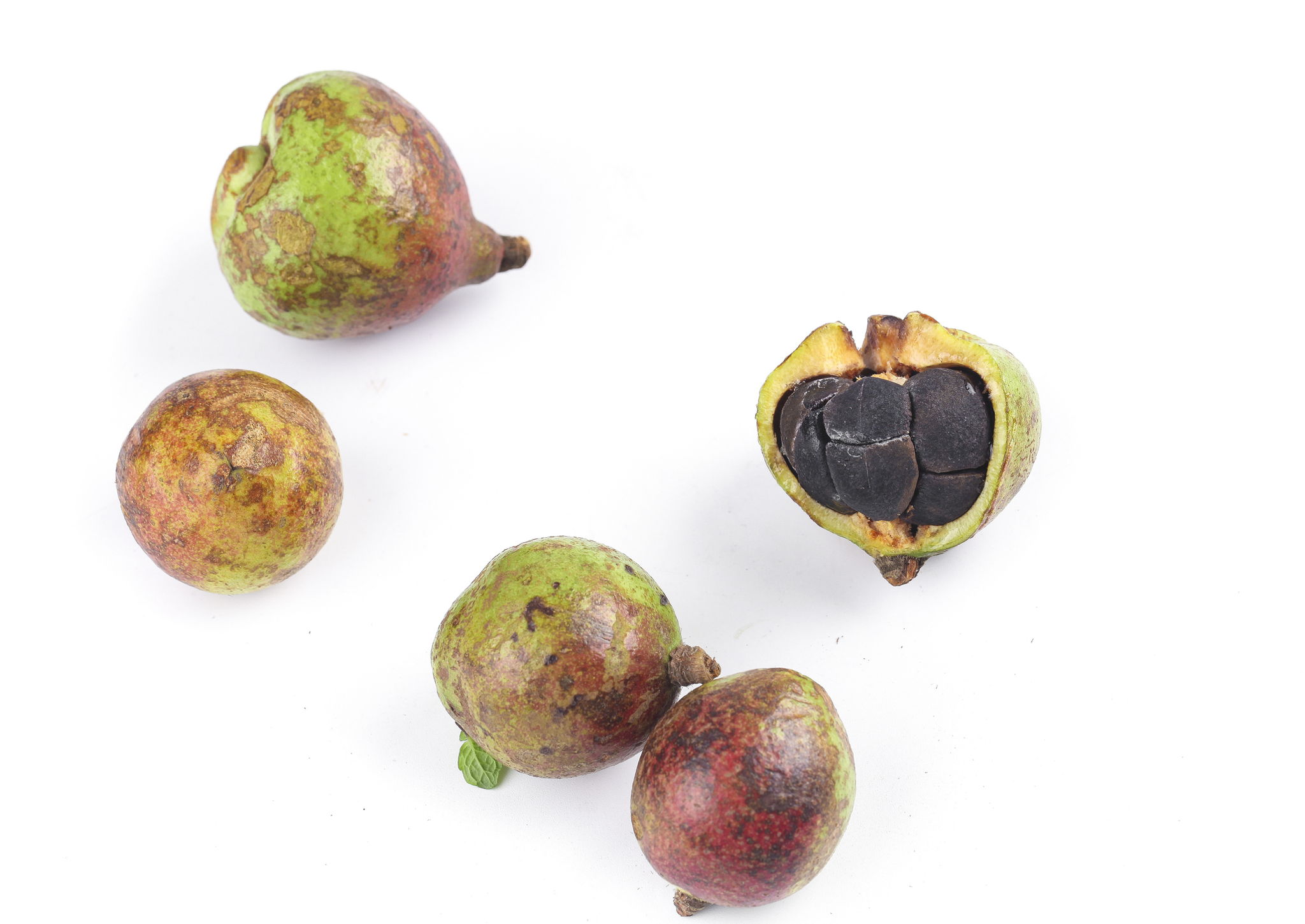 6 Black Walnut Benefits—From Snacking to Supplementation -