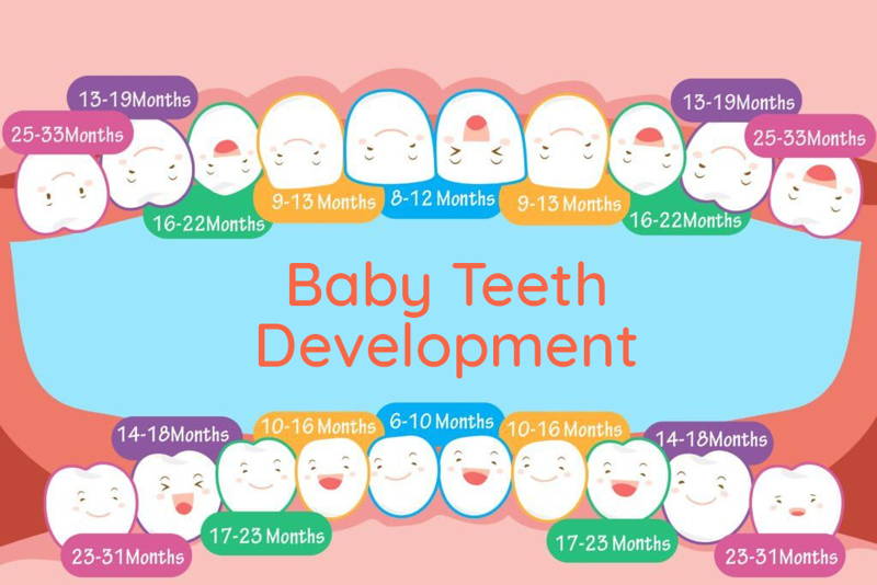 Baby teething timeline for when each tooth comes in