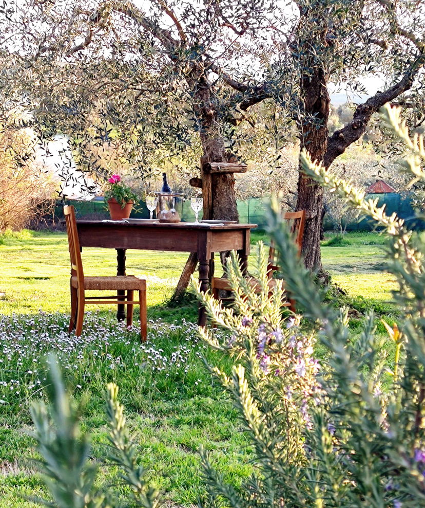 Pranzi e cene Firenze: Cucina toscana da gustare in un antico monastero 