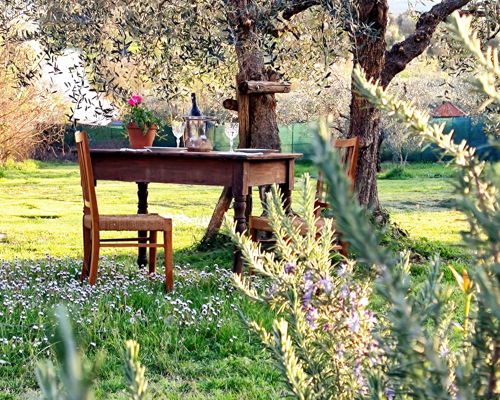 Food experiences Florence: Tuscan cuisine to savor in an ancient monastery