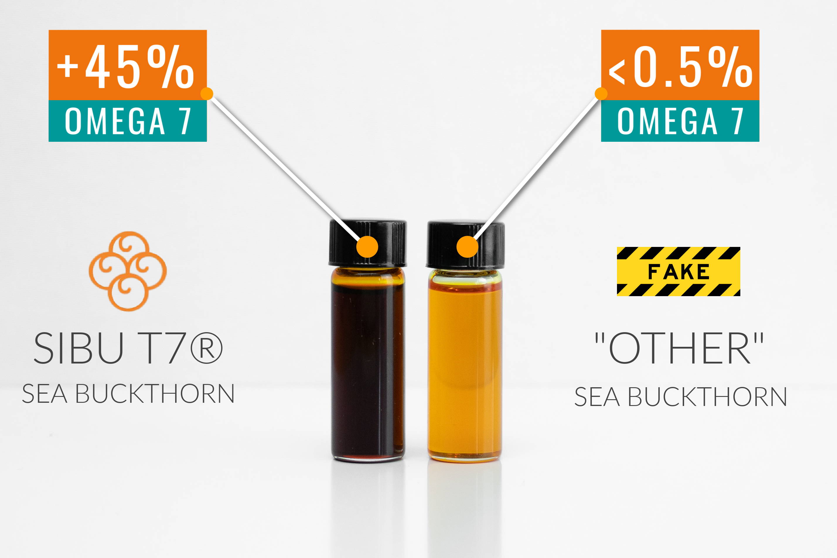 SIBU VS. LOW QUALITY SEA BUCKTHORN