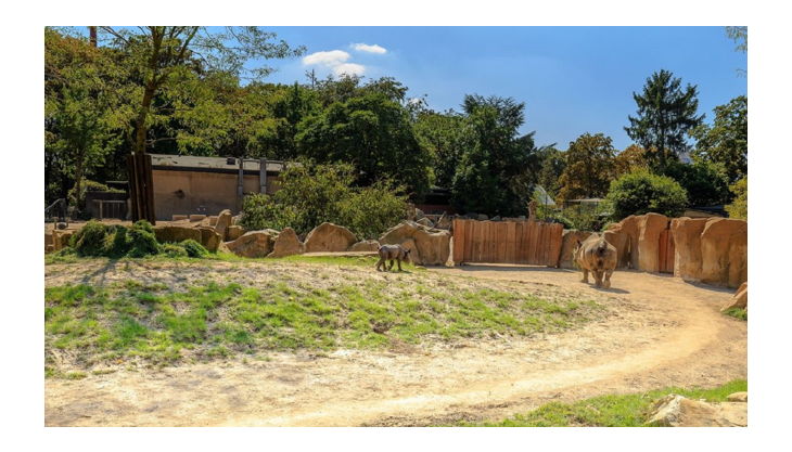 zoo krefeld außenanlage savanne