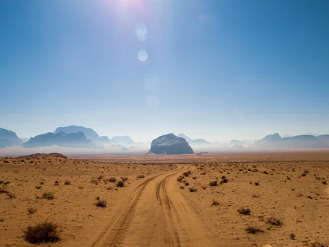 Safari in the early morning — how the desert wakes up