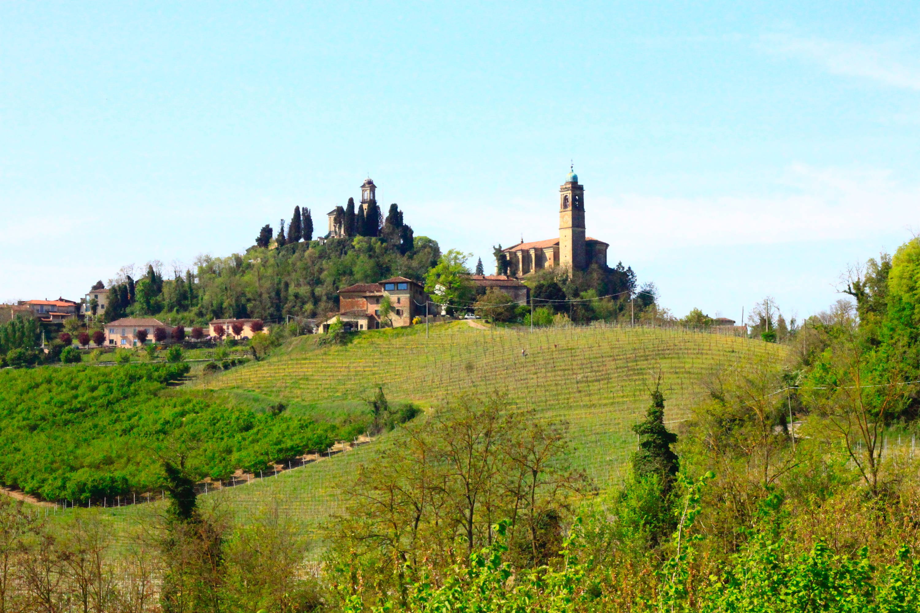Italian countryside with a vineyard and church at the top of a hill. 