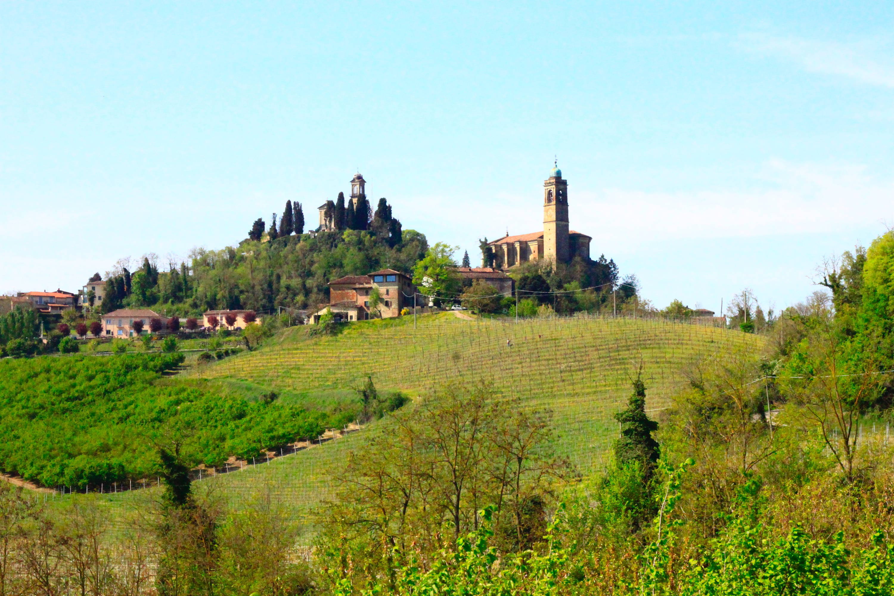 Italian countryside with a vineyard and church at the top of a hill.
