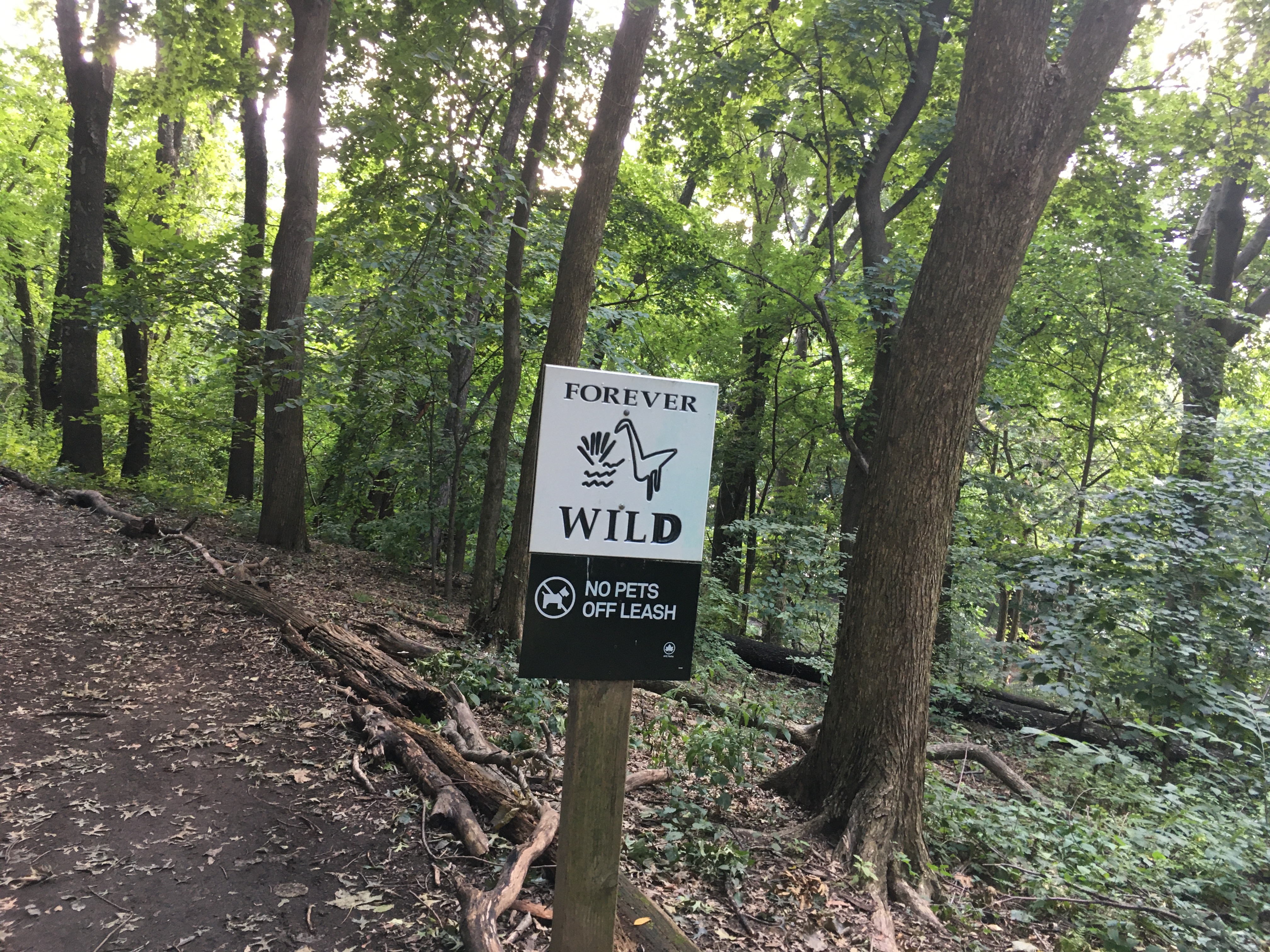 Riverside Park’s trails are open for exploration.