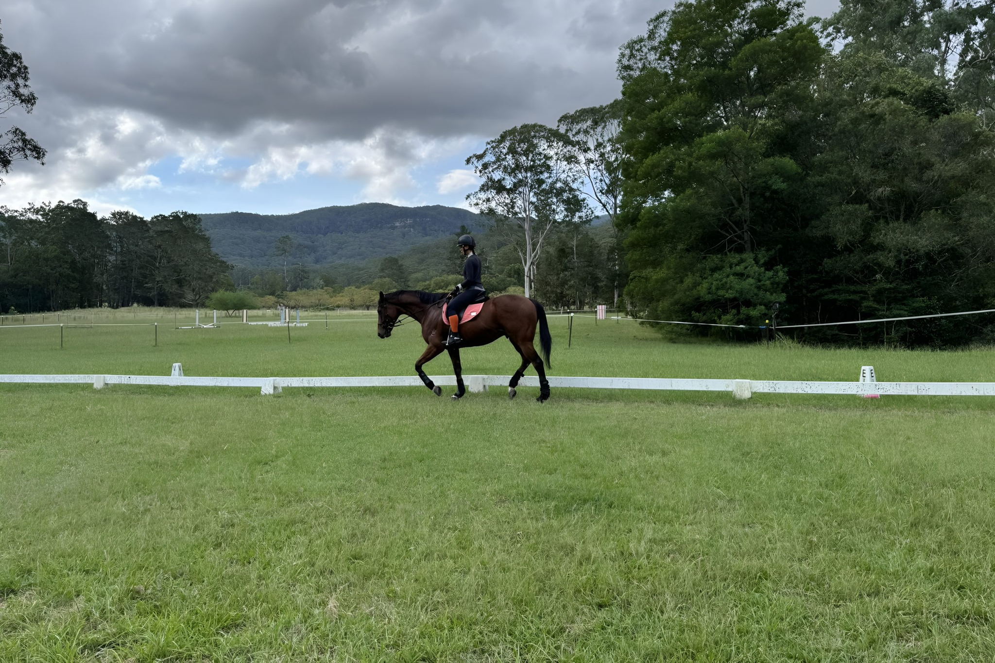 Ridgeview Equestrian Voucher - Image 9