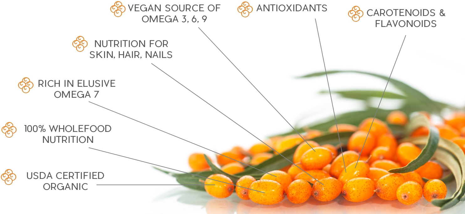 sea buckthorn benefits and nutrients