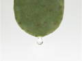 gem pages image