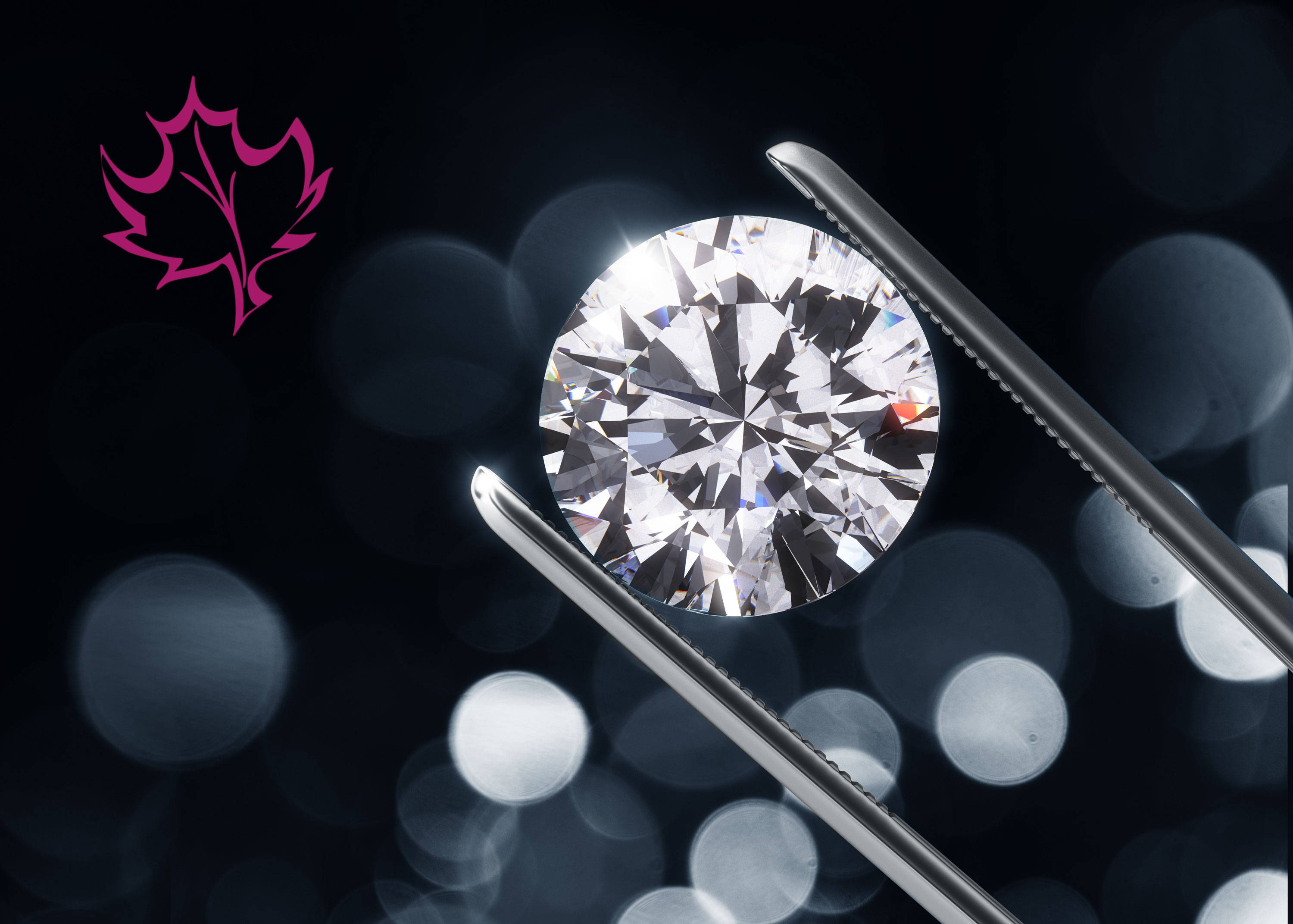 Hope for diamonds in Montreal. Seen here a beautiful diamond with lots of sparkle, held up t o catch the light.