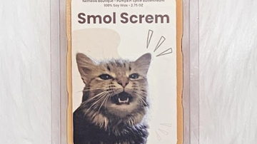 Main Content Image