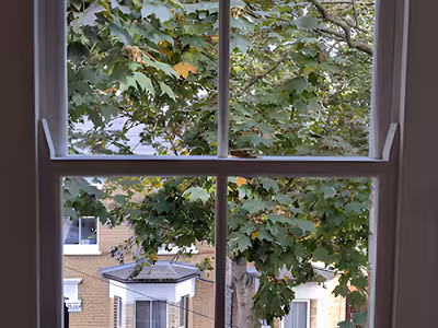 Century Sash Windows thumbnail