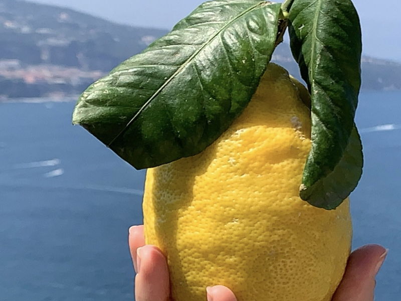 Esperienze gastronomiche Sorrento: Il limone e altre delizie sorrentine