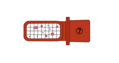 Schema of the red tester with formed colonies view from above