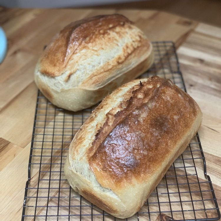 Wholesome hen and loaf — photo from hotplate.com