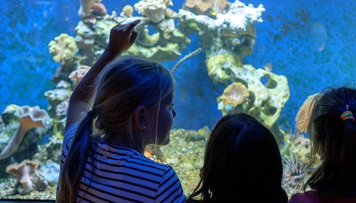 aquazoo düsseldorf aquarium