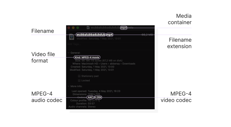 A video file’s properties, including filename extension, size, and codecs
