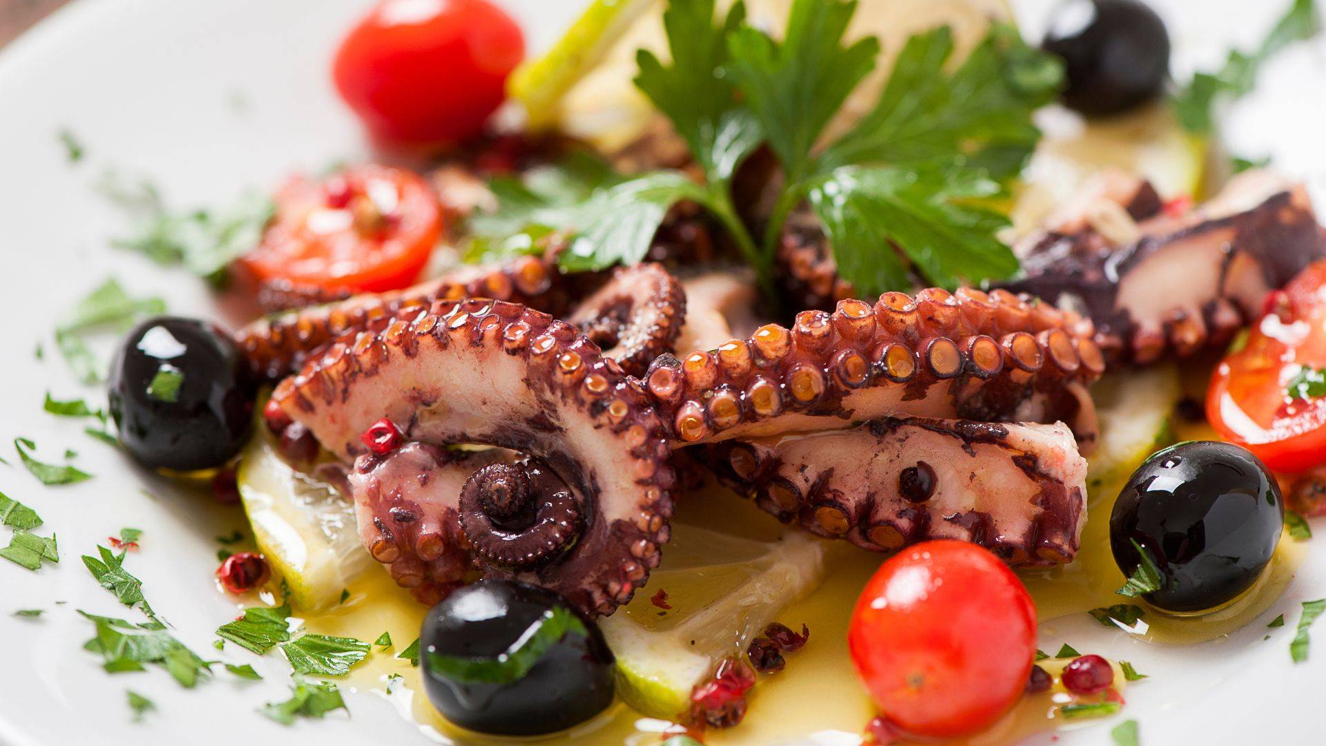 octopus salad