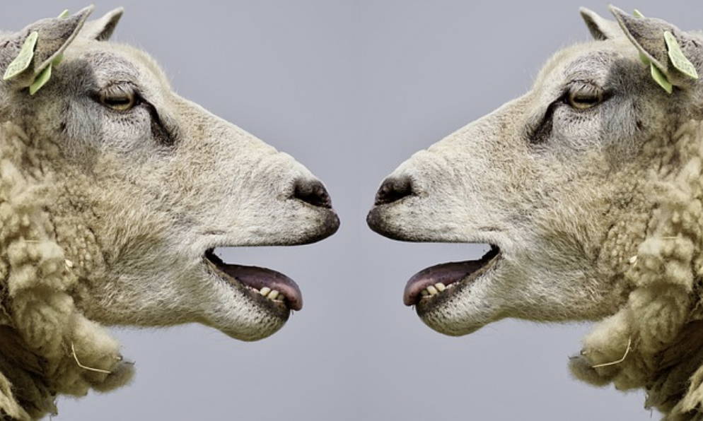 Improved Communication Skills