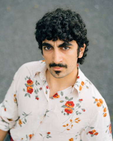 Dana Arab Ovisi
