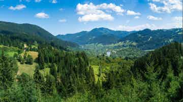Carpathian Mountain Views