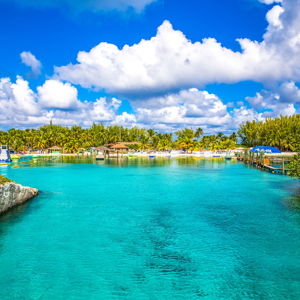 Honeymoon Cruise