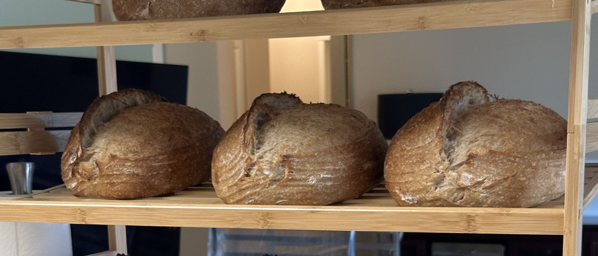 Kendra✨sourdough dealer✨ — photo from hotplate.com