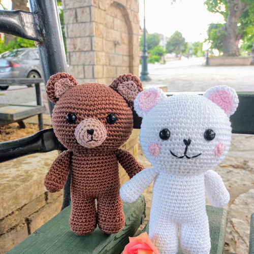 Bruine en witte berenpaar