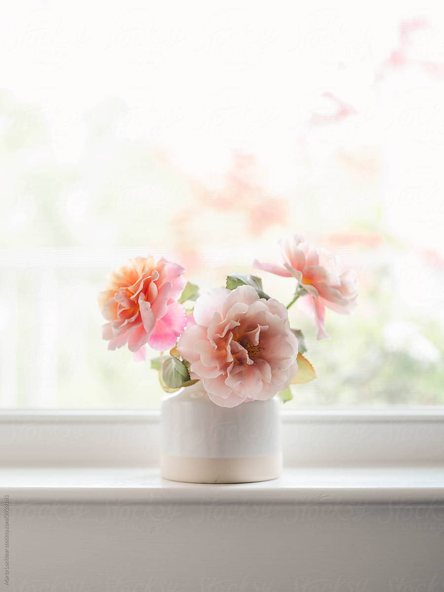 Getting Started With Stock Photography: Pink Flowers