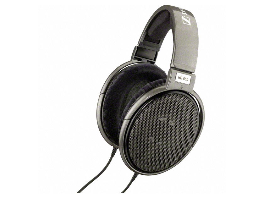 Sennheiser Electronics HD650 Great headphones