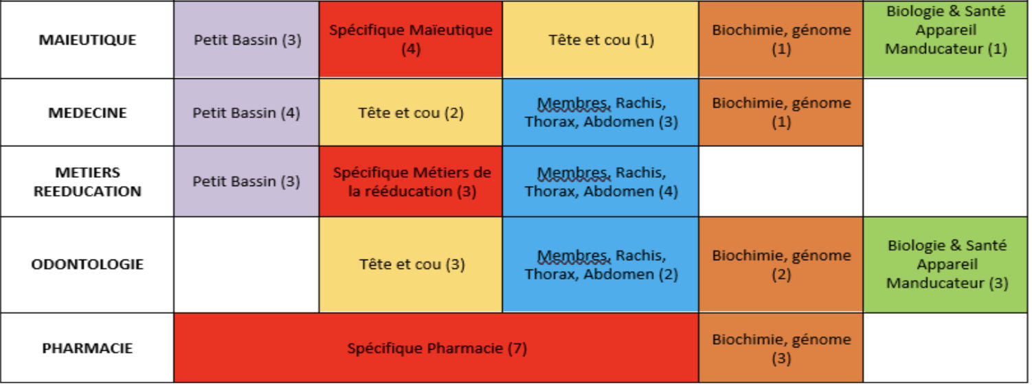 modules filières semestre 1 facs de médecine de Nancy et Metz