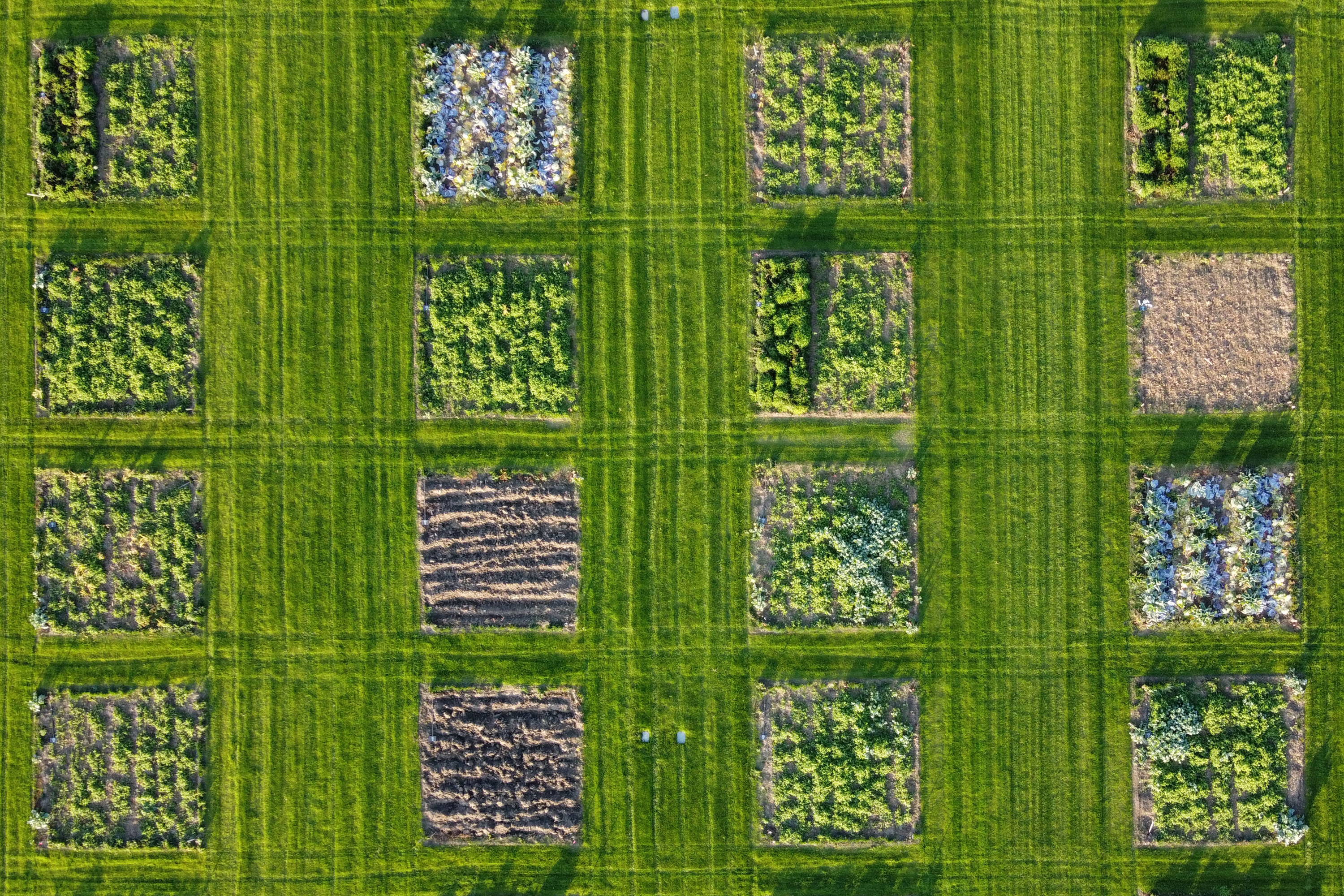 EROC Veld beeld 1