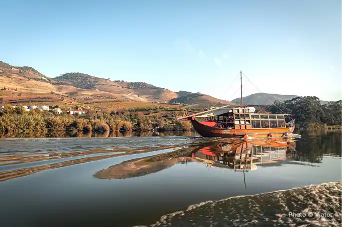 Douro Valley Group Tour: 2 Wineries, Lunch and River Cruise