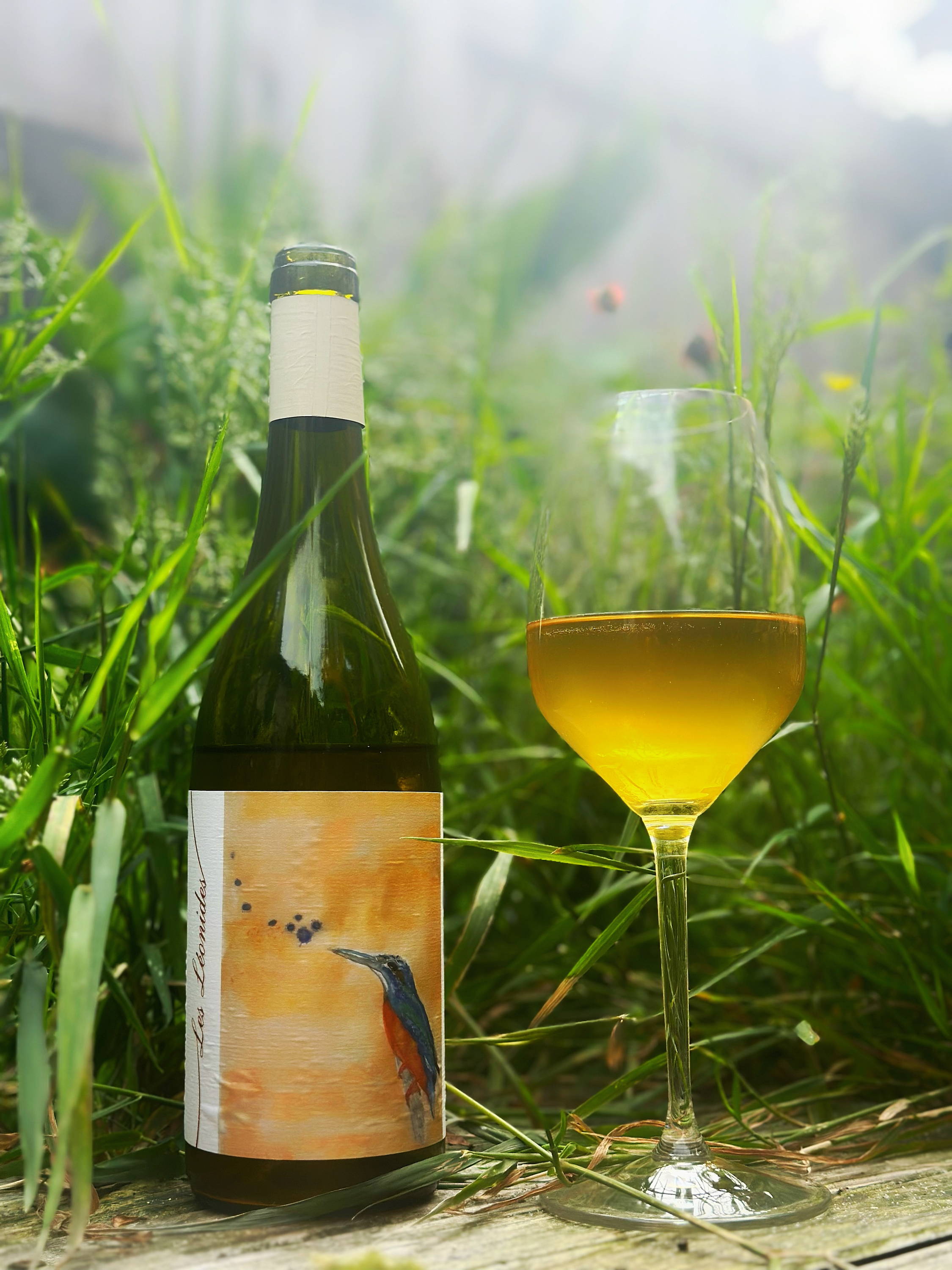 France, vin nature, rawwine, organic wine, vin bio, vin sans intrants, vin sans souffre, vin sans sulfites ajoutés, raizin brut, vin rouge, vin blanc, rouge, blanc, nature, vin propre, vigneron, vigneron indépendant, domaine bio, biodynamie, vigneron nature, cave vin naturel, cave vin, caviste, vin biodynamique, raizin brut, Quimper, Finistère , domaine regarde-moi venir, leonides, viognier, luberon, vin nature  