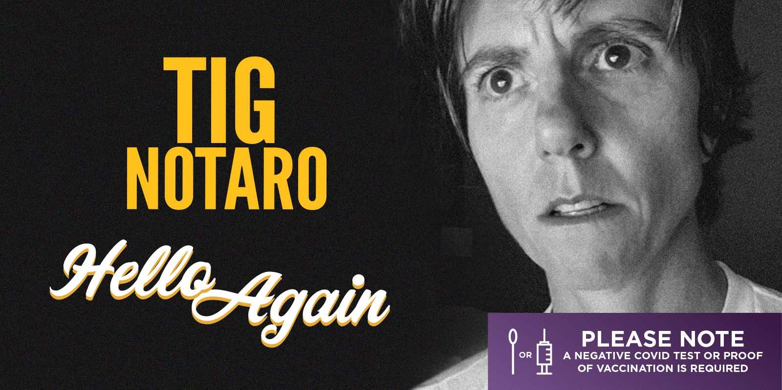Tig Notaro promotional image