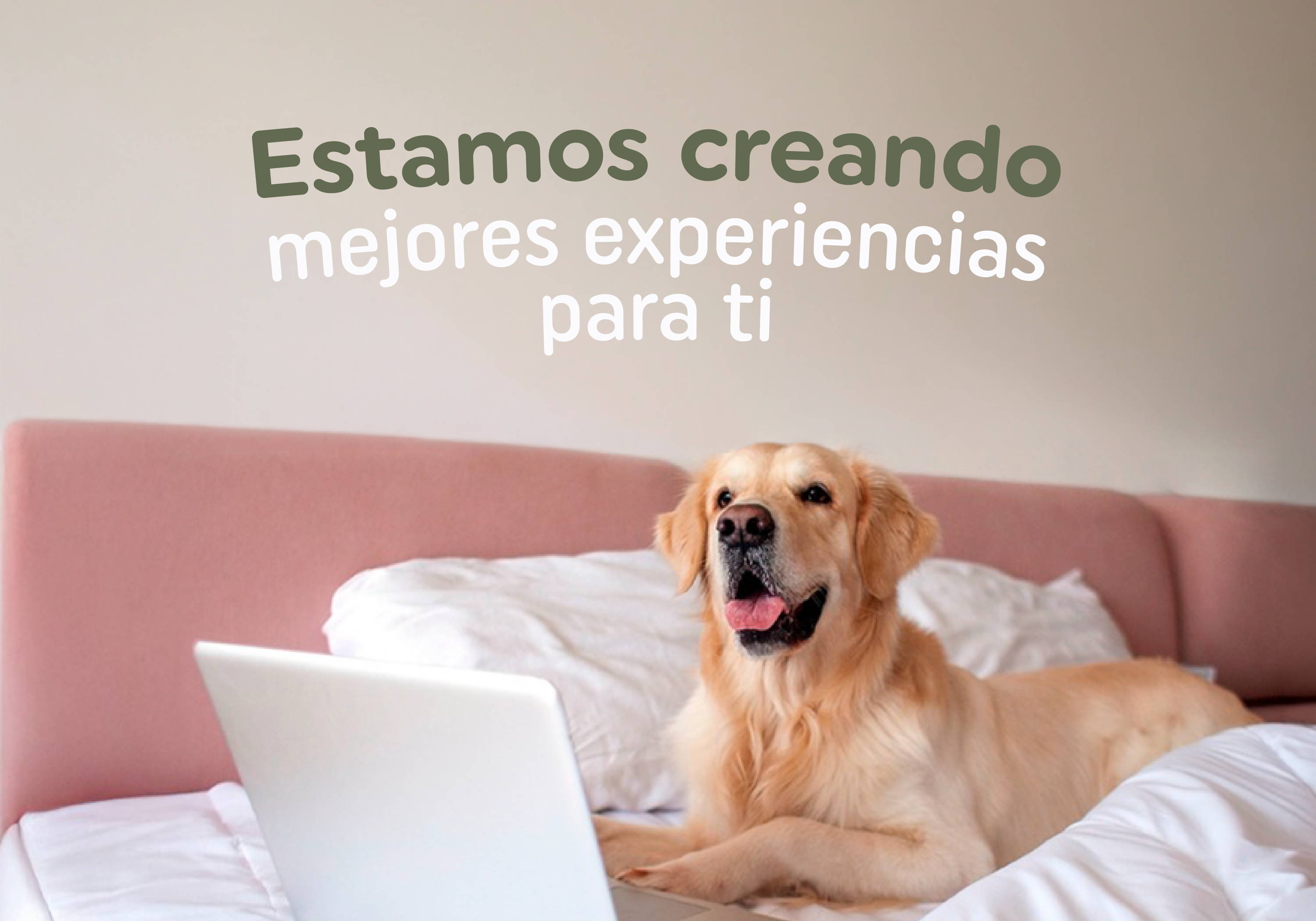 zignature - energía real para su día a día