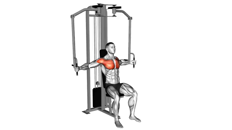 Bench Press Exercise