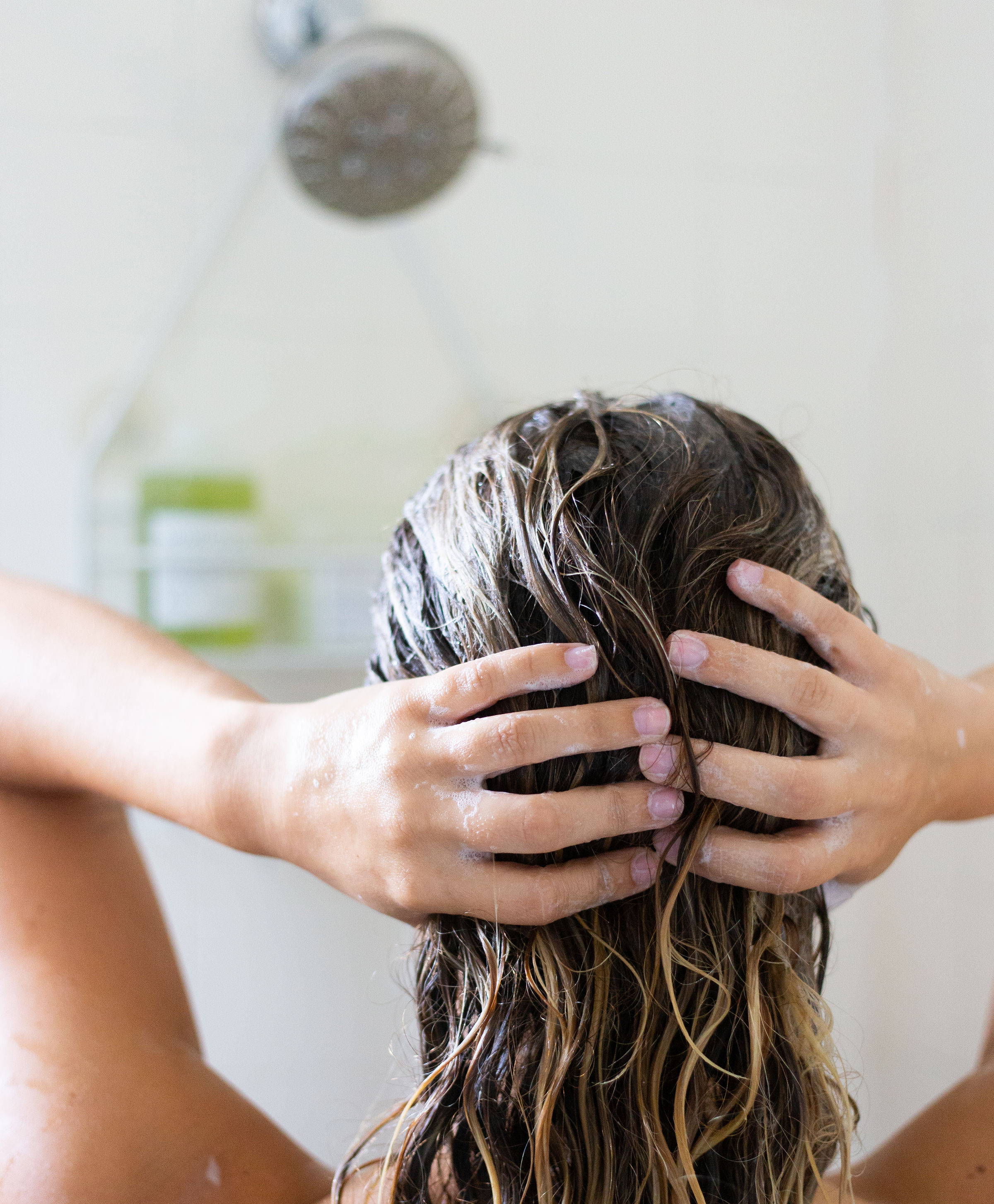 Woman shampooing hair MOMO Davines