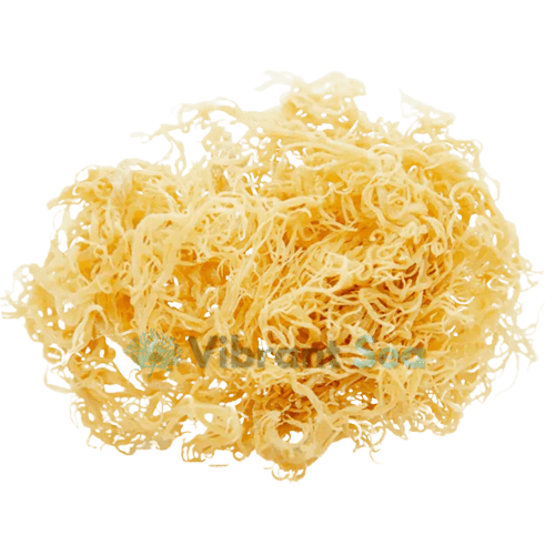Raw Sea Moss