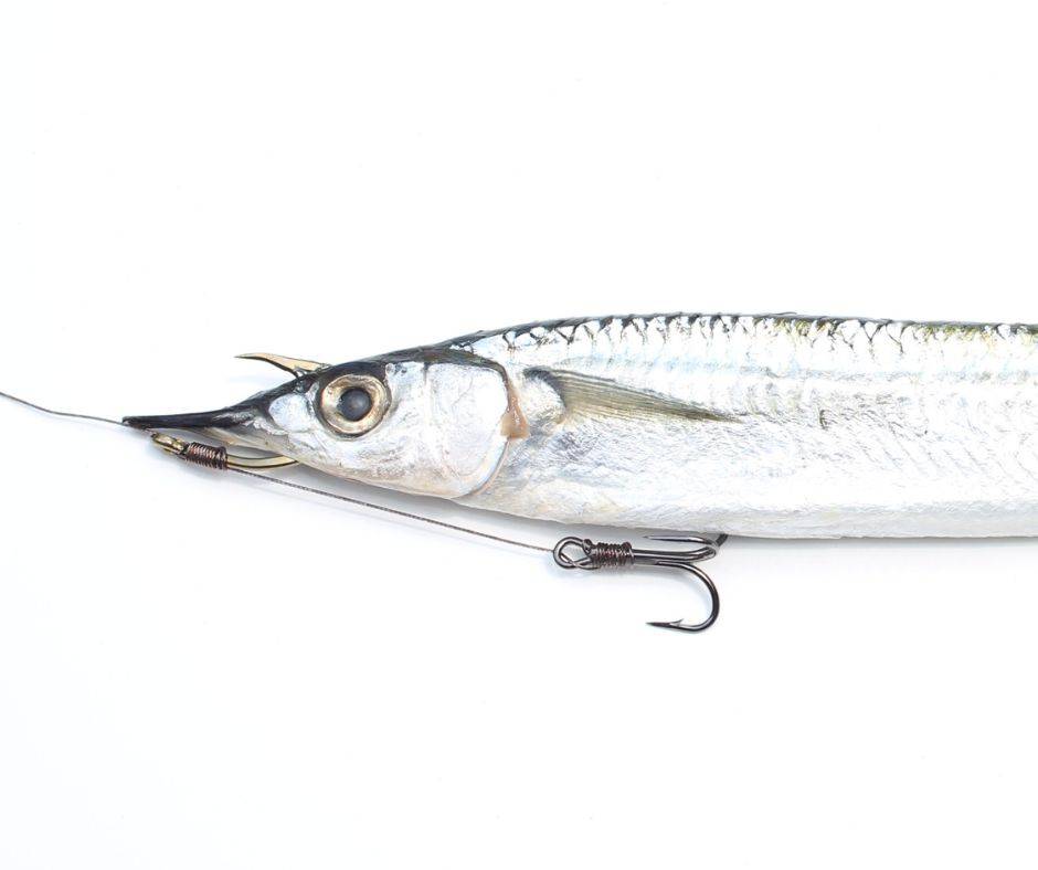 Ballyhoo Silver Black Red 9.5 Inch Trolling Lure [CTTLF254