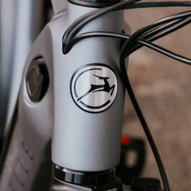 A Gazelle Logo on a headtube